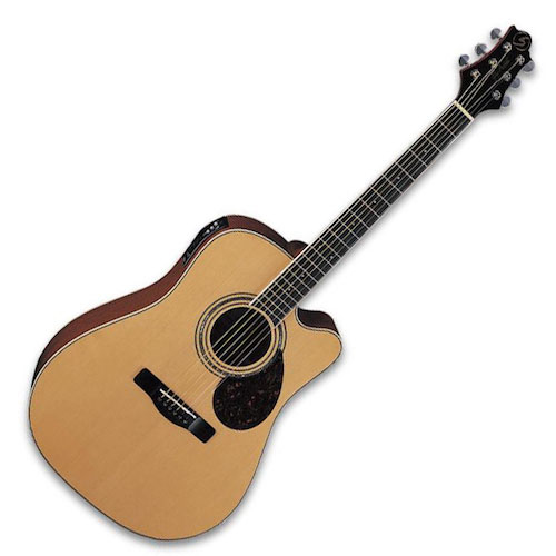 Greg Bennett D5 CE Solid Top Acoustic Electric Guitar